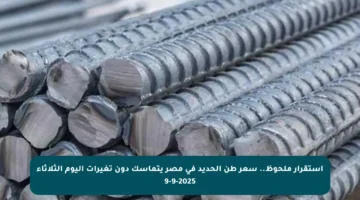 استقرار ملحوظ.. سعر طن الحديد في مصر يتماسك دون تغيرات اليوم الثلاثاء 9-9-2025